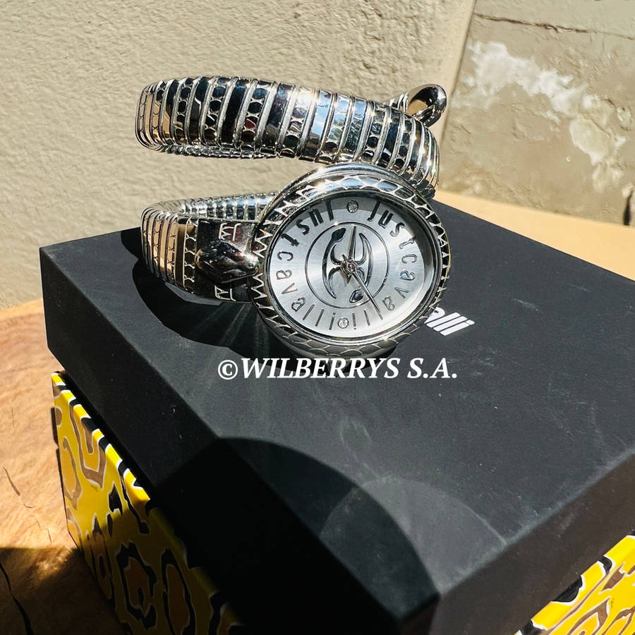 omg!!*** R7,900.00 ROBERO CAVALLI Women`s JUST CAVALLI Dante Viper Twist Silver Watch GENUINE