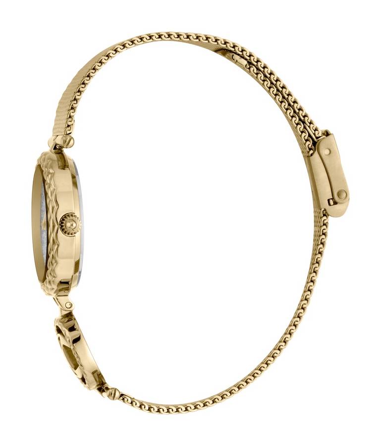 R30 courier!!*** R7,000.00 ROBERO CAVALLI Women`s Changi Glitter Gold Milanese Watch GENUINE