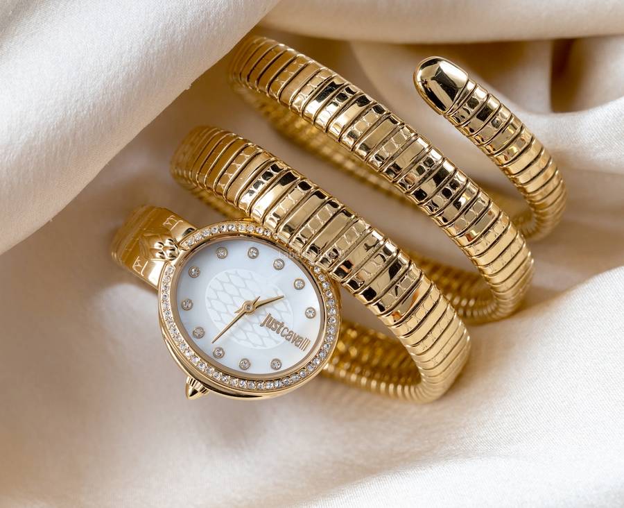 wow! rrp R8,900.00 ROBERO CAVALLI Women`s JUST CAVALLI Dante Viper Double Twist Silv Watch BRAND NEW