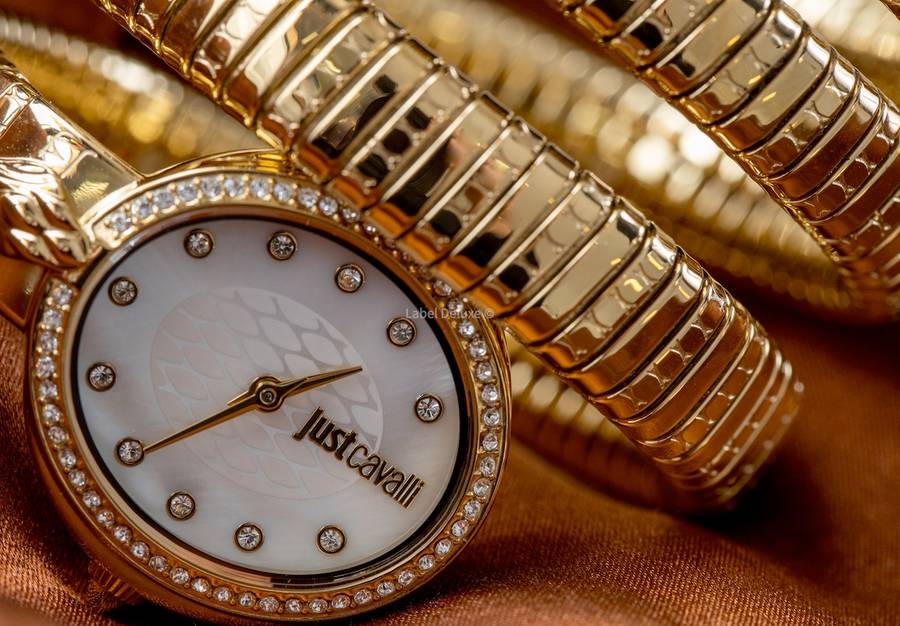 wow! rrp R8,900.00 ROBERO CAVALLI Women`s JUST CAVALLI Dante Viper Double Twist Silv Watch BRAND NEW