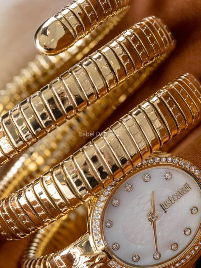 wow! rrp R8,900.00 ROBERO CAVALLI Women`s JUST CAVALLI Dante Viper Double Twist Silv Watch BRAND NEW