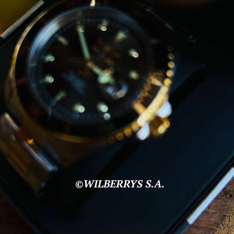 wow!! rrp R5,999.00 INVICTA MEN`S Sea Urchin Two Tone Oyster 200m Dive Watch BRAND NEW