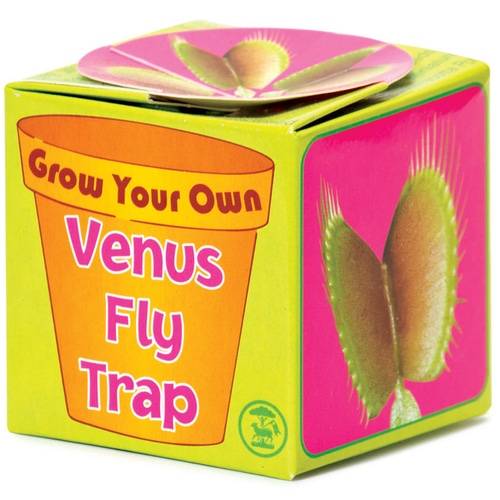 Grow Your Own Venus Fly Trap