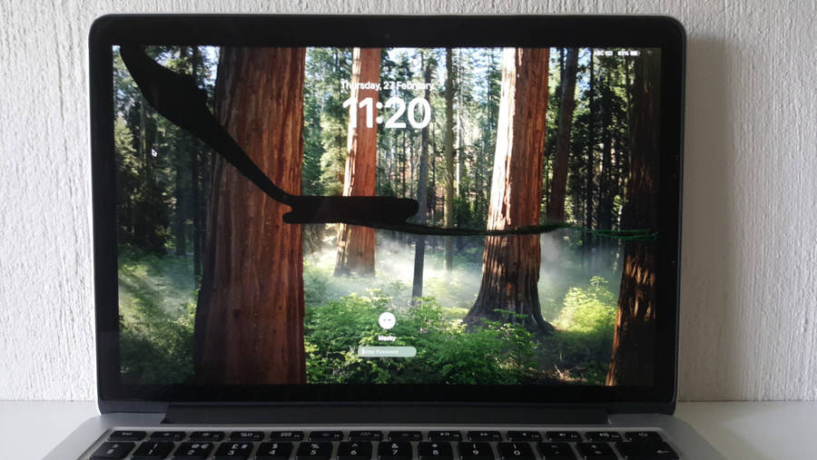 Apple Laptops - 2015 MacBook Pro 13