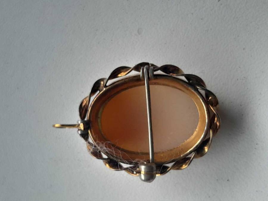 Vinatge camoe pentant/ brooch