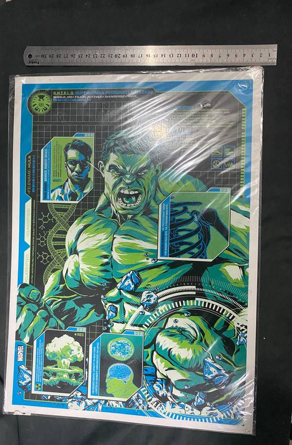 HULK Poster