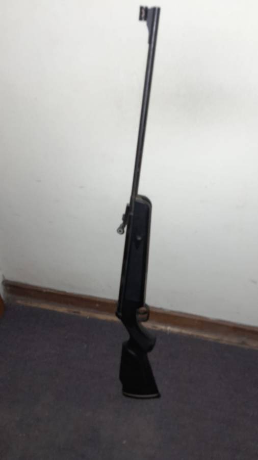 Pellet gun