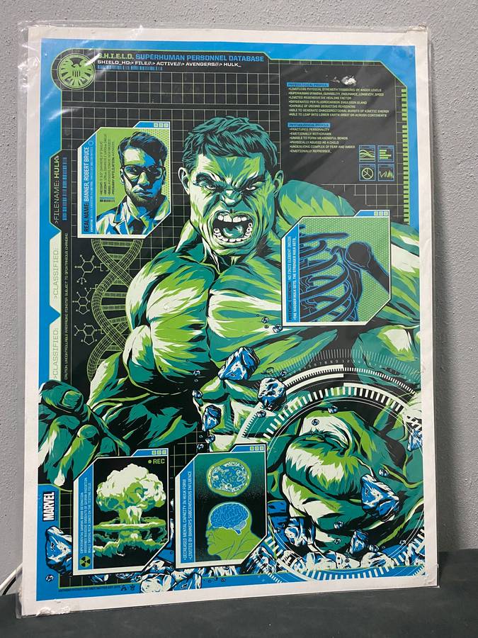 HULK Poster