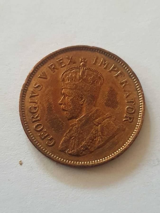 South Africa George VI Penny 1931 Dromedaris