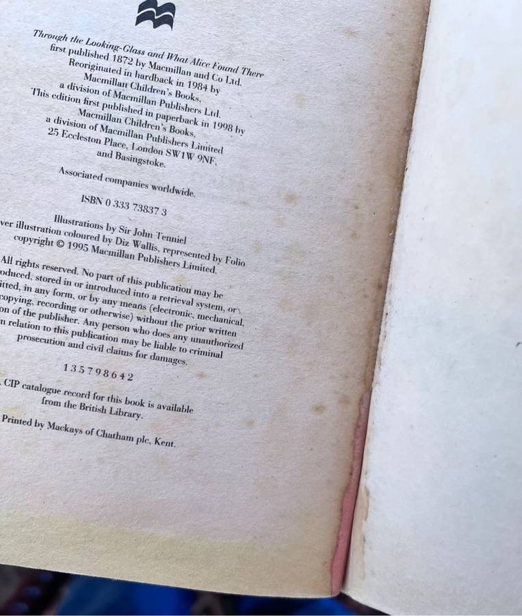 Through the looking-glass - Lewis Carroll (1998)