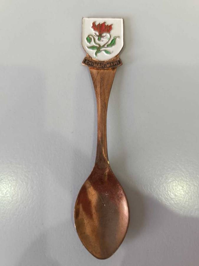 Chimanimani spoon