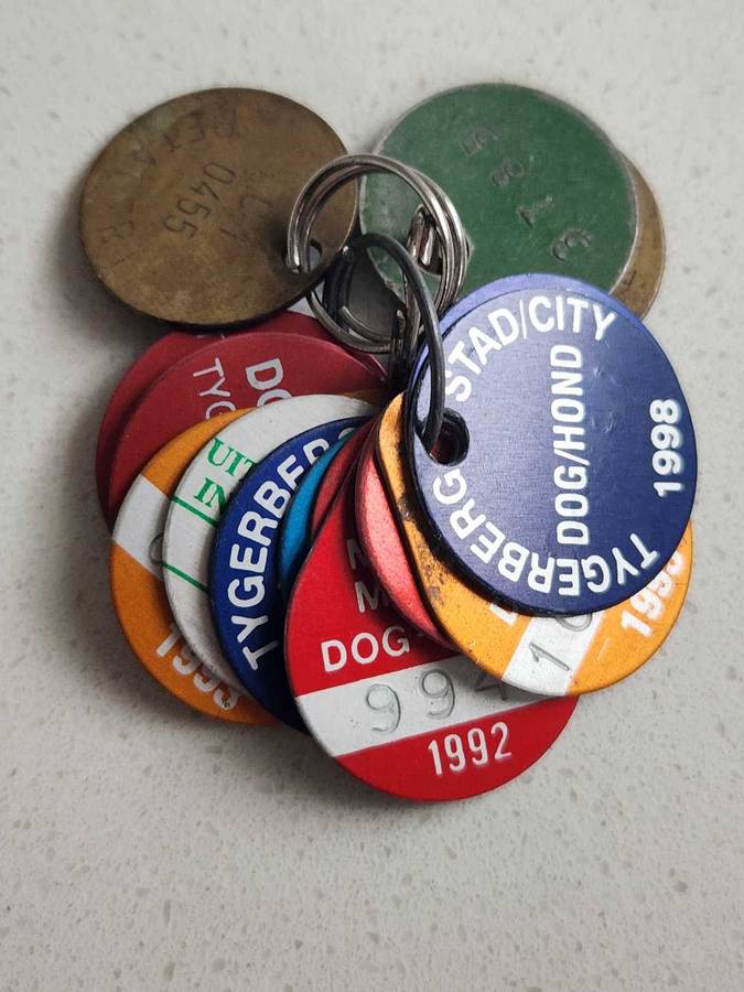 Dog license dics- 90s to 2000- Goodwood & Tygerberg