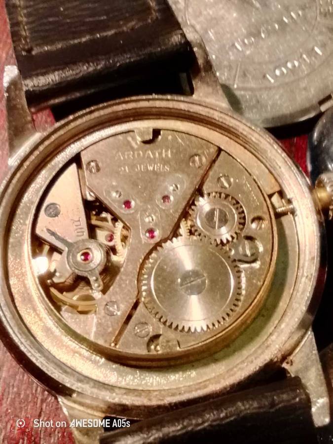 Ardath steelmaster 21 jewel