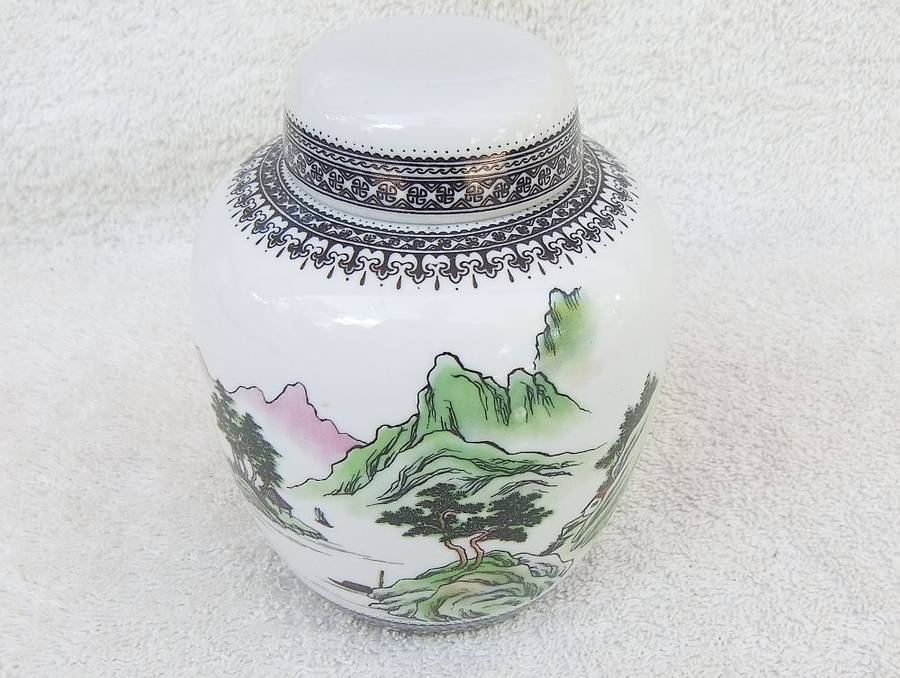Vintage Chinese Porcelain Ginger Jar with Detailed Design