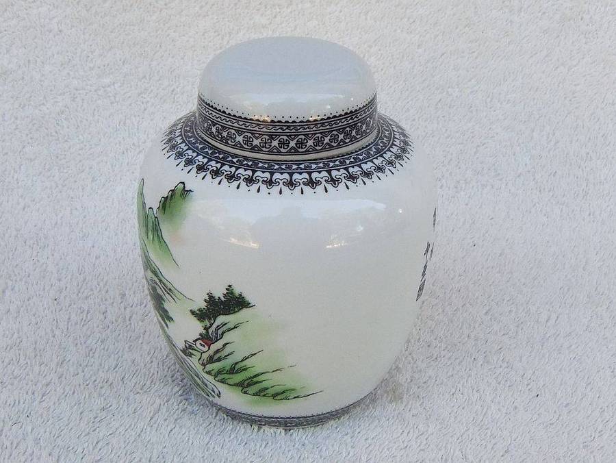 An eye catching vintage Chinese porcelain ginger jar with hand painted landscape detail