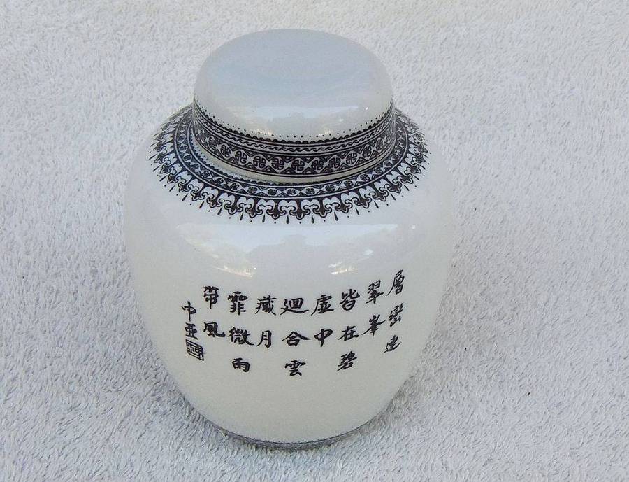 An eye catching vintage Chinese porcelain ginger jar with hand painted landscape detail