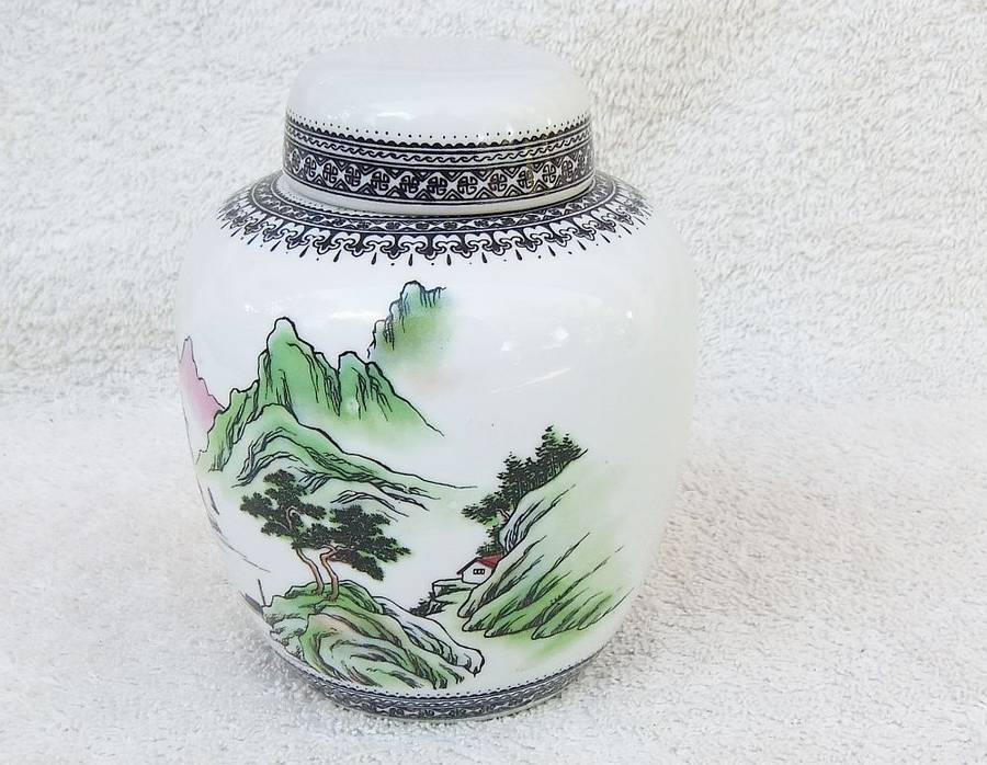 Vintage Chinese Porcelain Ginger Jar with Detailed Design