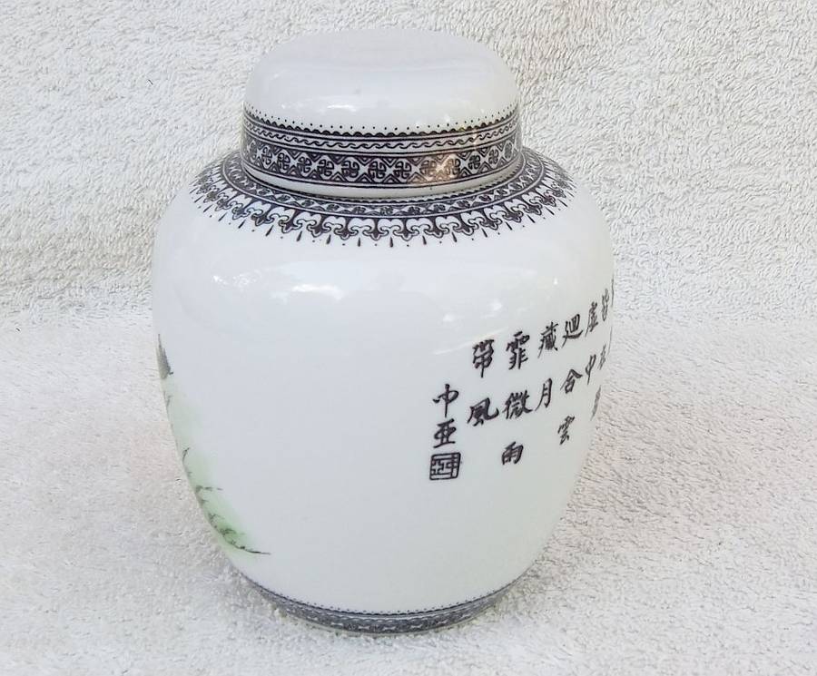 Vintage Chinese Porcelain Ginger Jar with Detailed Design
