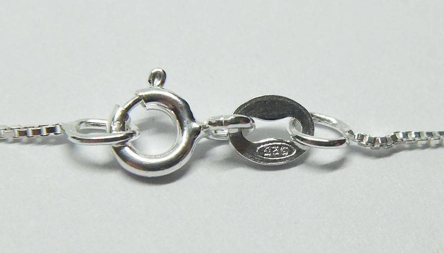 A vintage sterling silver Capricorn Zodiac sign pendant with a sterling silver necklace