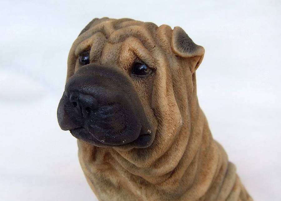 AN ADORABLE DETAILED VINTAGE SHAR-PEI FIGURINE BY CASTAGNA OF ITALY WITH ORIGINAL BOX DATED 1988
