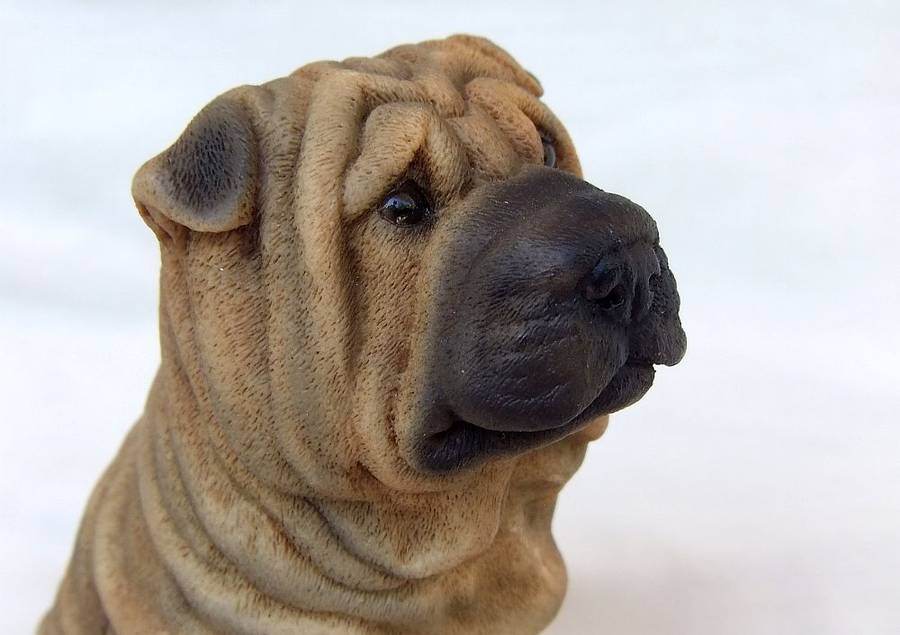 AN ADORABLE DETAILED VINTAGE SHAR-PEI FIGURINE BY CASTAGNA OF ITALY WITH ORIGINAL BOX DATED 1988
