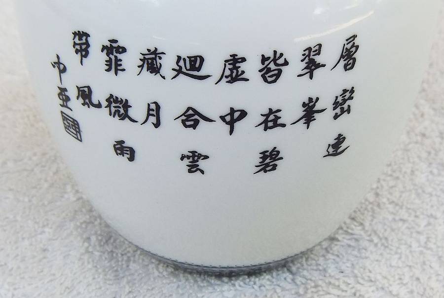 Vintage Chinese Porcelain Ginger Jar with Detailed Design