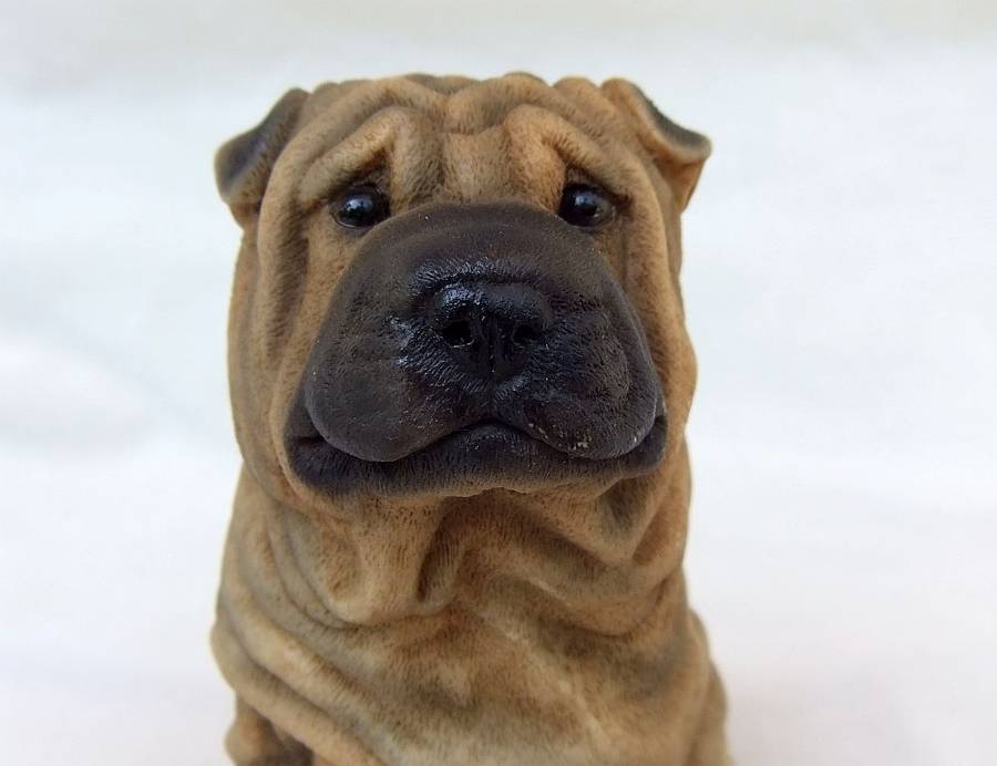 AN ADORABLE DETAILED VINTAGE SHAR-PEI FIGURINE BY CASTAGNA OF ITALY WITH ORIGINAL BOX DATED 1988