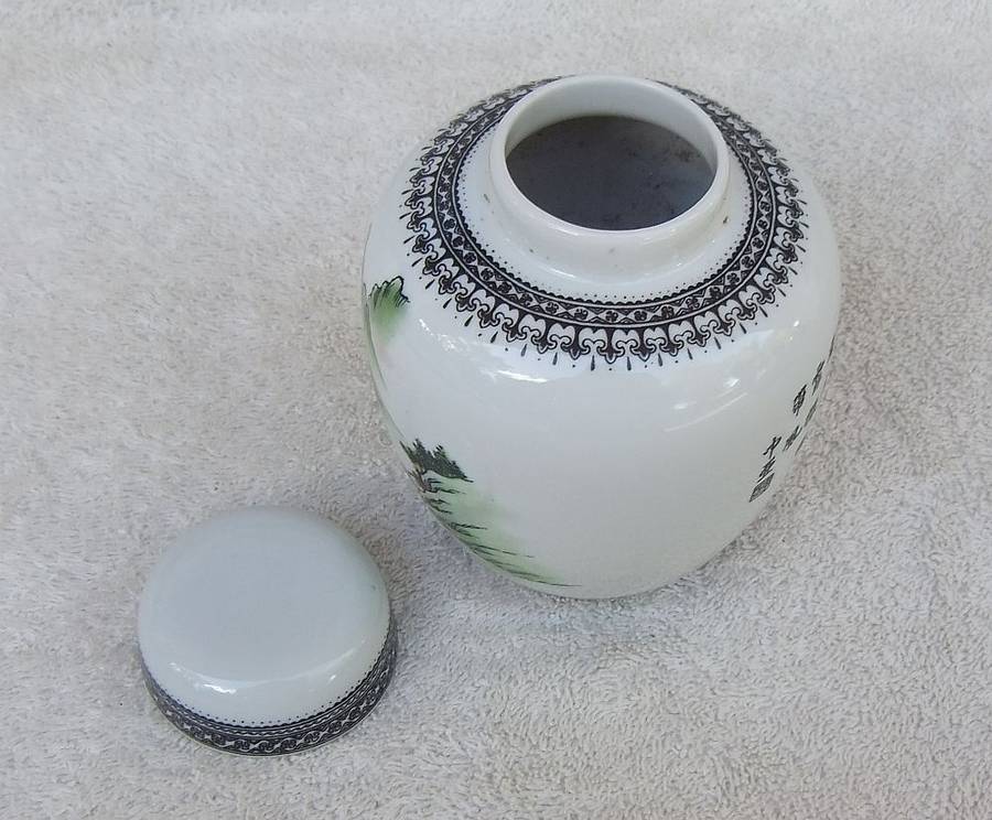 Vintage Chinese Porcelain Ginger Jar with Detailed Design