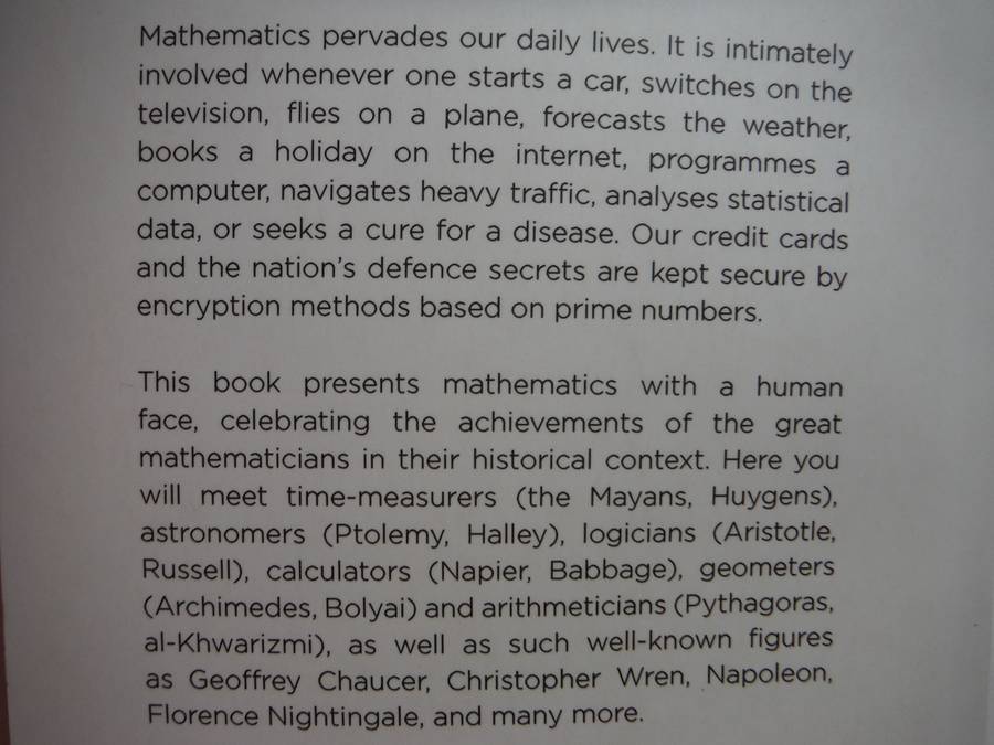 The Great Mathematicians : Unravelling the Mysteries of the Universe - Raymond Flood