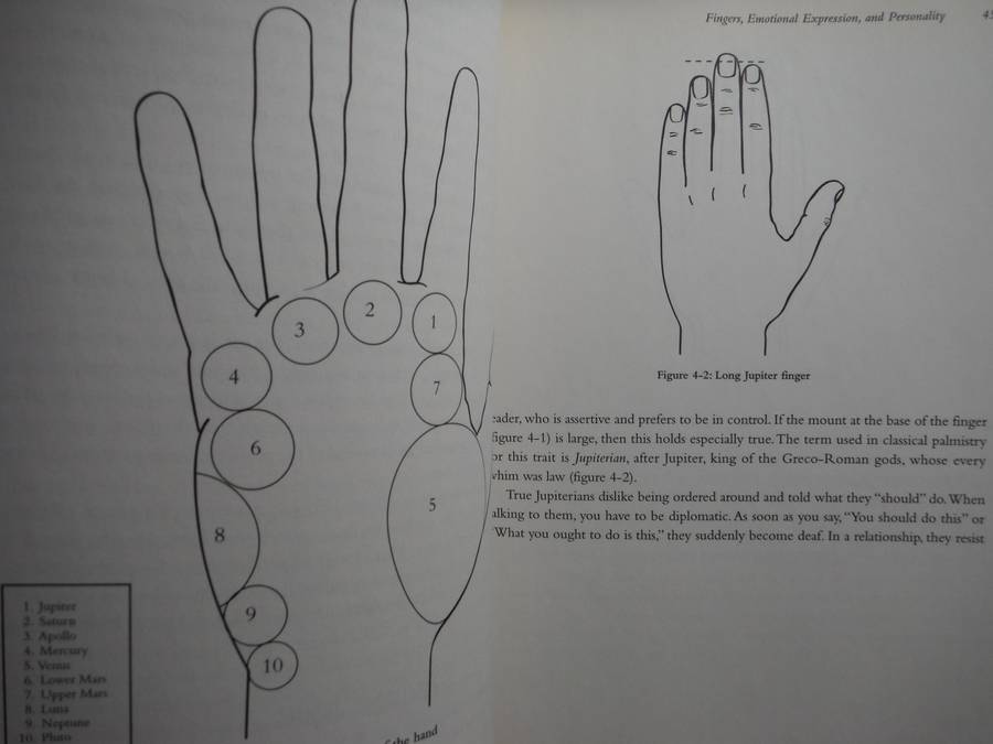 Lover's Guide to Palmistry - Softcover - Jon Saint-Germain