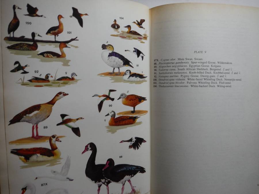 Roberts Birds of South Africa - Hardcover - 1978 Edition