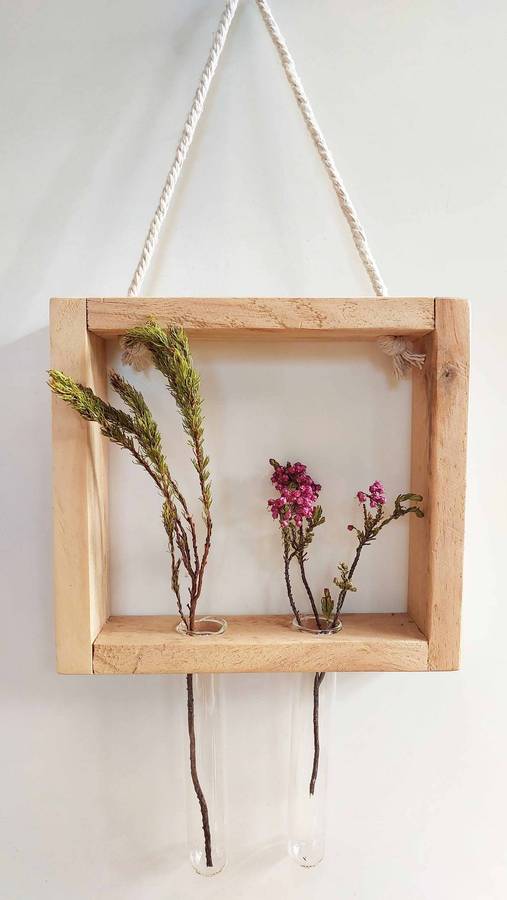 Propagation / Plant display kit
