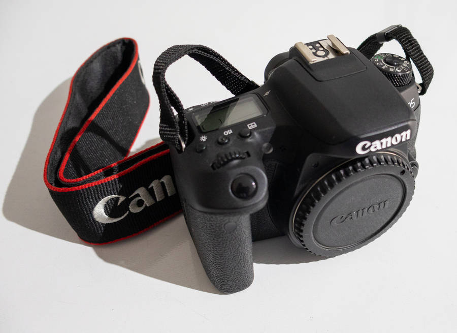 Canon EOS 77D DSLR - 24.2 Megapixels - Dual Pixel CMOS AF - Wi-Fi, NFC, Bluetooth - Body Only