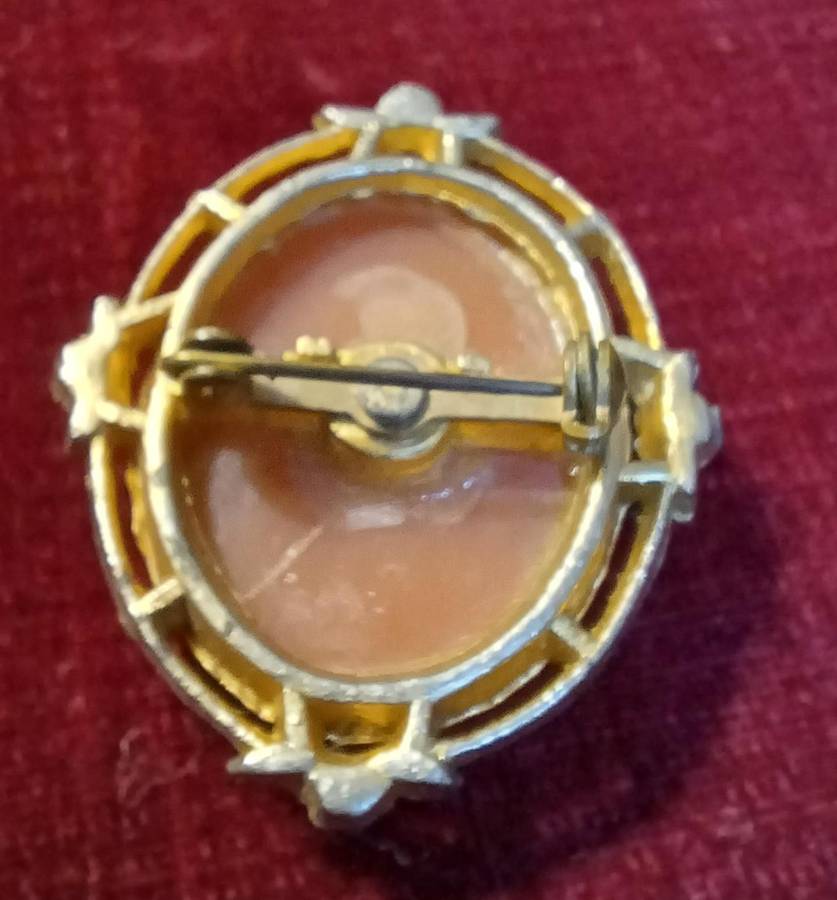 Vintage Costume Jewelry  | 02 |  CAMEO AND EARINGS