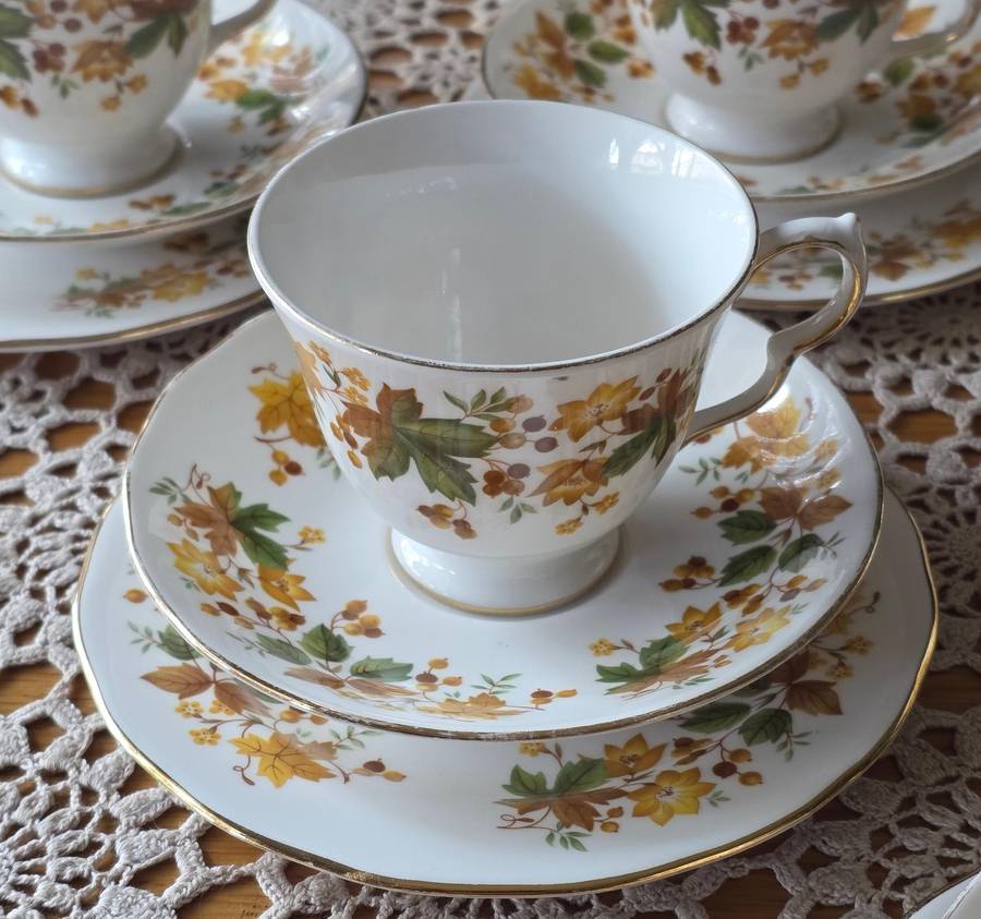 Queen Anne Bone China Tea Set | Autumn Leaves G671 Pattern |