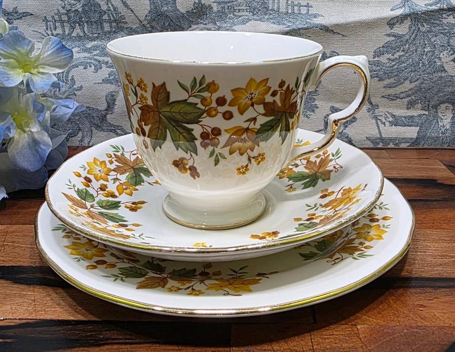 Queen Anne Bone China Tea Set | Autumn Leaves G671 Pattern |