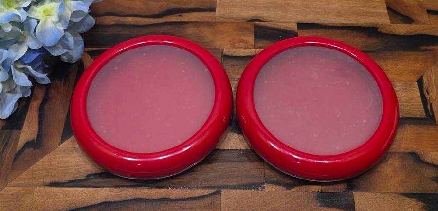 TWO Joie Food Saver Set | Fresh Stretch Pod |