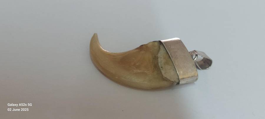 Rare vintage sterling silver lion claw pendant 2.9g