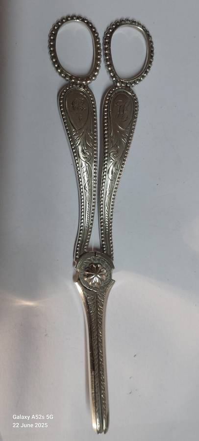 Very Rare!! 1888 Exeter silver grape scissors 86.7g Value R5500 WOW!!