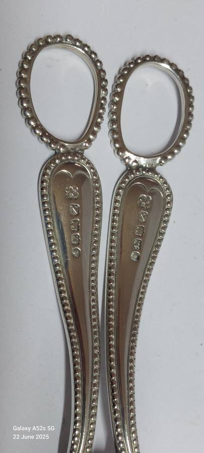 Very Rare!! 1888 Exeter silver grape scissors 86.7g Value R5500 WOW!!