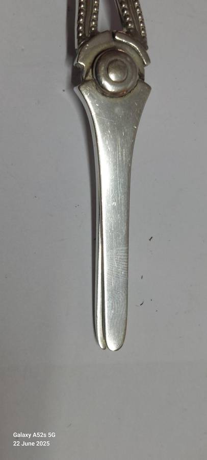 Very Rare!! 1888 Exeter silver grape scissors 86.7g Value R5500 WOW!!