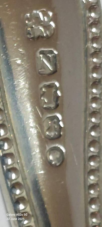 Very Rare!! 1888 Exeter silver grape scissors 86.7g Value R5500 WOW!!