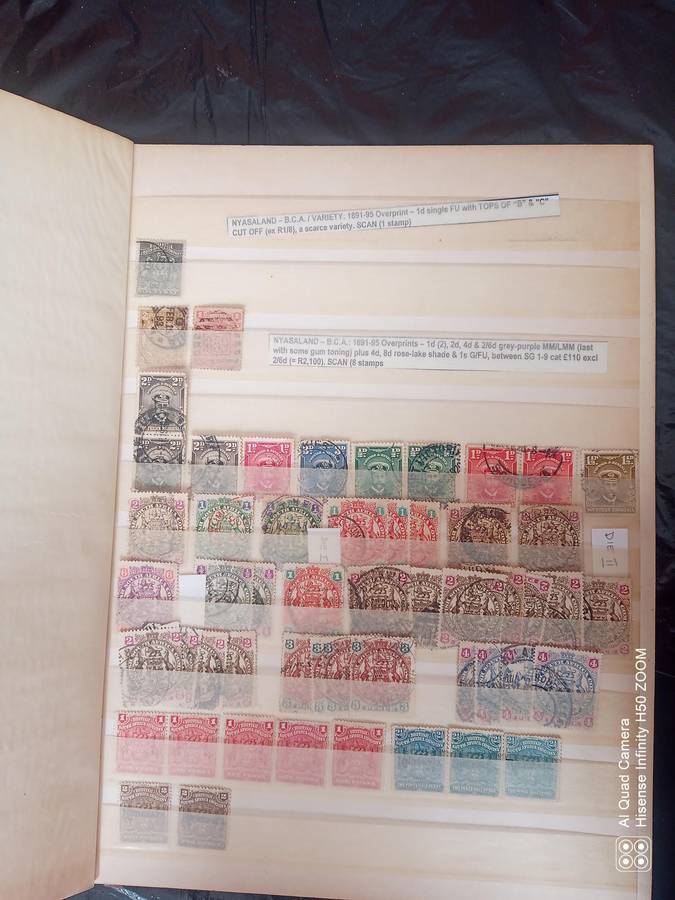 Rhodesia, Nyasaland & Zimbabwe in 2 x 8 pages stock books