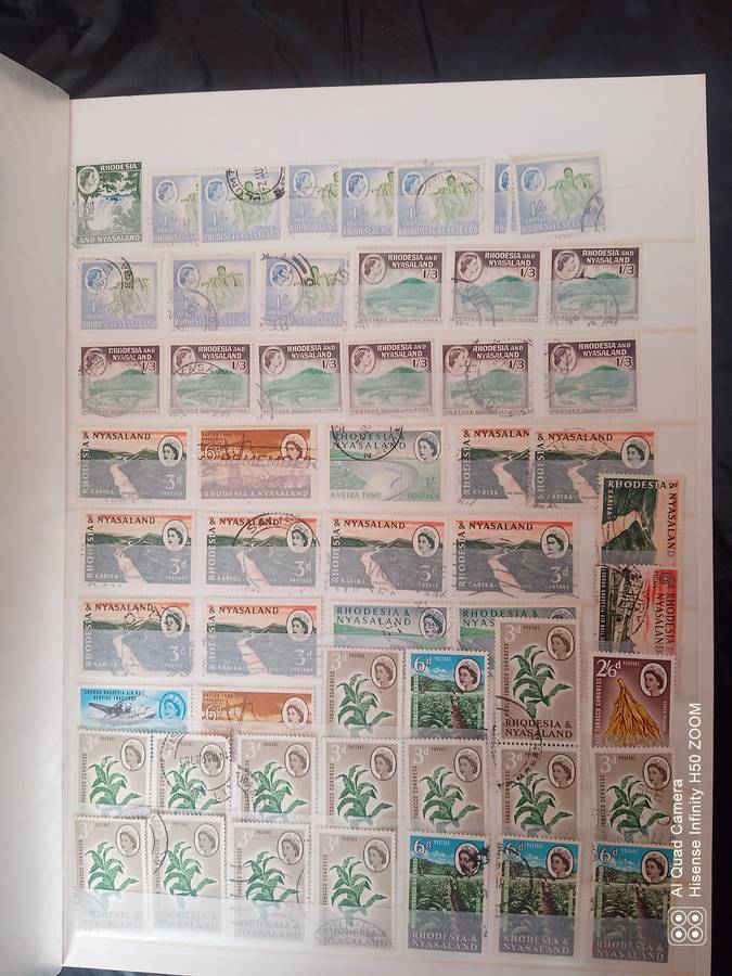 Rhodesia, Nyasaland & Zimbabwe in 2 x 8 pages stock books