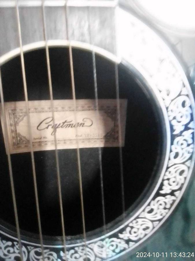 CRAFTMAN MODEL RY 35 BS GUITAR AND LEADS