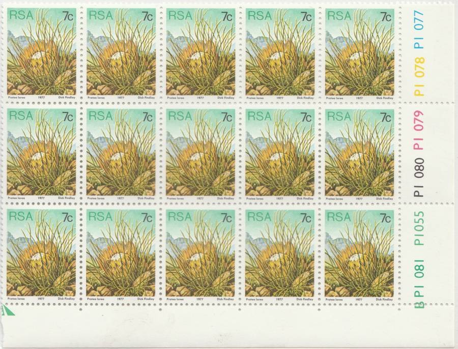 RSA 3rd Definitive Issue SACC 424 x15
