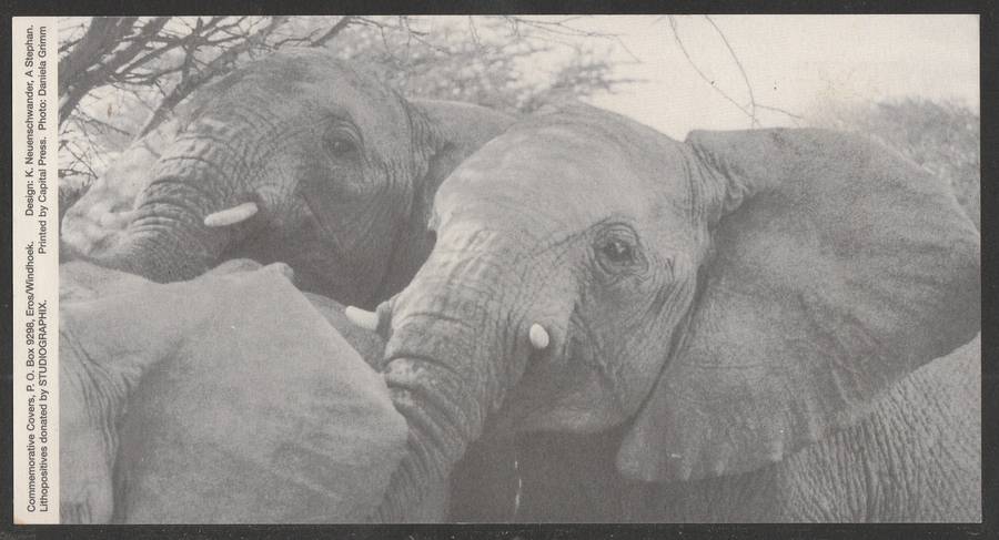 AVIATION 1995 AIR NAMIBIA CARD #58 FIRST SCHEDULED FLIGHT MOUNT ETJO TO MOKUTI LODGE