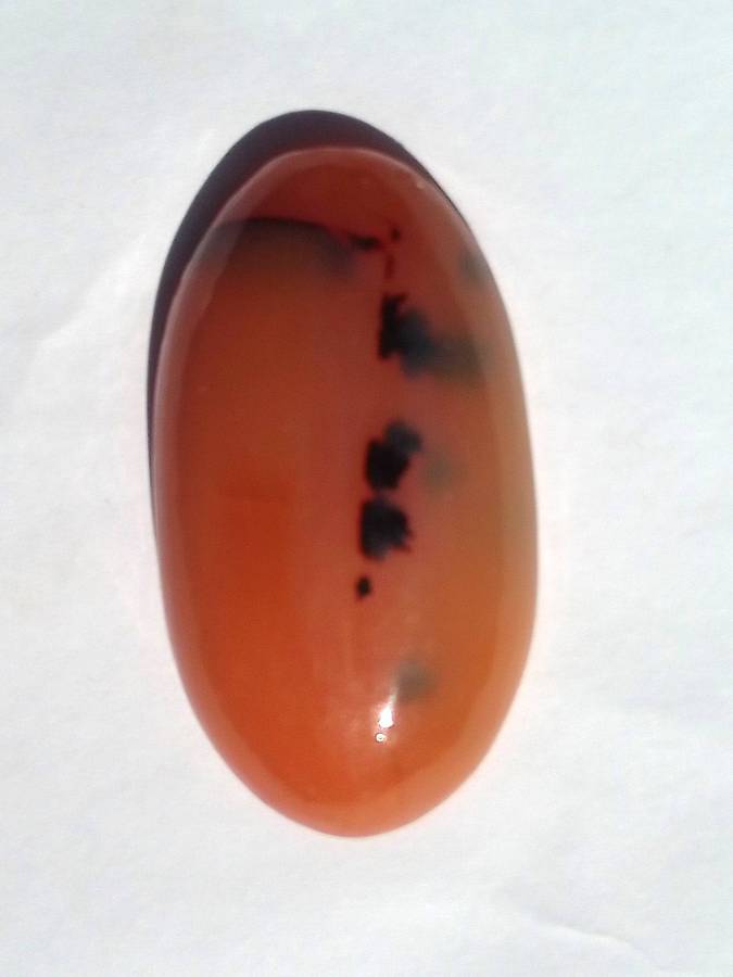 RARE!!!63.65ct Lebombo Agate !!!