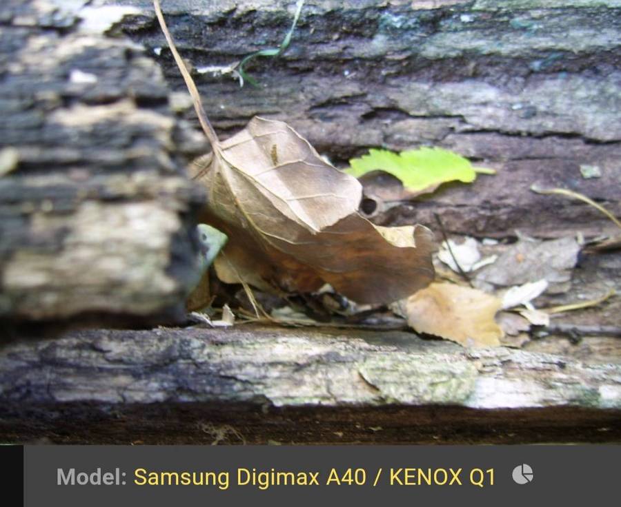 Samsung Digimax digital camera A40 (4.0 m/pixel, 3 x optical zoom, video recording)