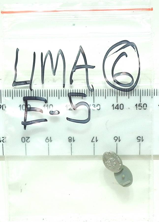 LIMA HO: 1pr SAR E5 " Blue Train" Loco Badges  in Good condition for Parts.(Italy)